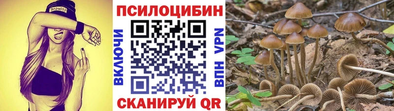 hydra как зайти  дарнет шоп  Ступино  Псилоцибиновые грибы MAGIC MUSHROOMS 